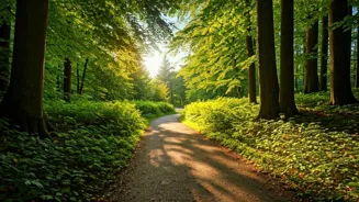 Reimagine Your Life: 7 Steps to a Fresh Start