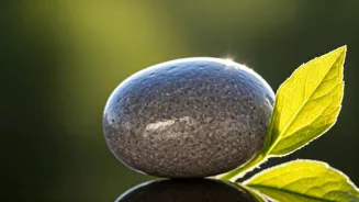 Find Inner Peace Through Forgiveness