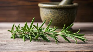 Can Rosemary Improve Your Brain Function?