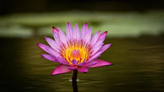 Love Yourself After a Breakup: Find Strength