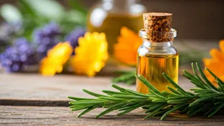 Make Rosemary Oil for Hair Growth at Home