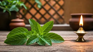 Is Tulsi the Key to Modern Indian Wellness?
