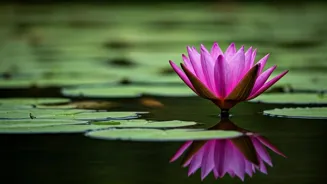 Find Joy After a Breakup: Love Yourself First