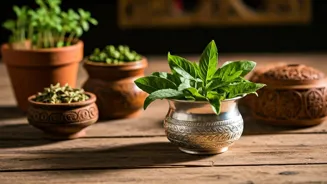 Tulsi: A Natural Wellness Remedy for Indians
