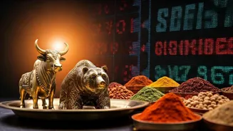 Stocks on BSE and NSE See Major Price Swings