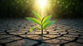 Break Free And Thrive: 7 Ways To Revive Life