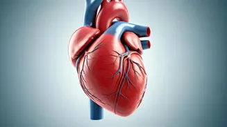 Clean Arteries Naturally For A Healthy Heart