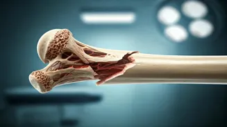 Know Bone Fracture Risks and Prevention Tips