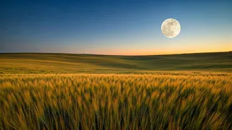 The Harvest Moon Will Shine in 2025.