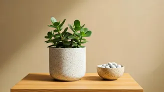 Feng Shui Can Bring Wealth and Harmony Home