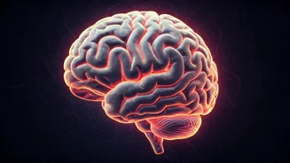 Brain Health: Daily Habits to Nurture Your Mind