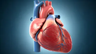 Check Early to Prevent Sudden Cardiac Death