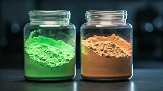 Protein Or Creatine: Which Fitness Supplement?