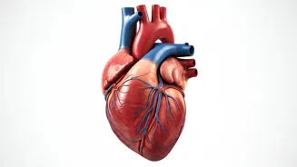 Heart Attack Risk: Women Face Hidden Dangers