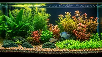 These Tank Cleaners Keep Your Aquarium Healthy