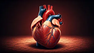 Reduce Heart Attack Risk: Daily Habits Matter