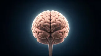 Sleep is crucial for brain health.