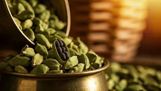 Cardamom Has Amazing Benefits For Your Health
