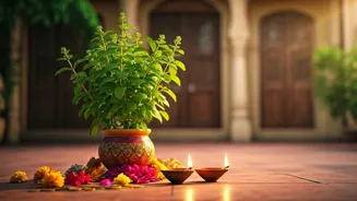 Grow Wealth and Good Vibes with Plants in India