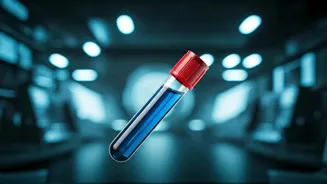 Brain Diseases Can Be Predicted By Blood Test