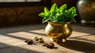 Tulsi Can Help Lower Your Cortisol Levels