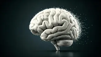 Are Sweeteners Harming Your Brain?