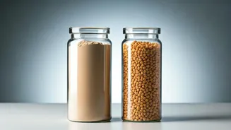 Creatine Or Protein Powder: Which Is Better?