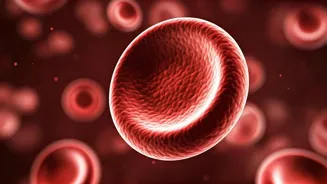 Why Is Vitamin B12 Essential For Your Health?