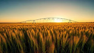 India's Agriculture: Driving Growth and GDP