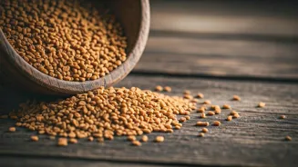 Fenugreek Seeds Lower Cholesterol and Sugar