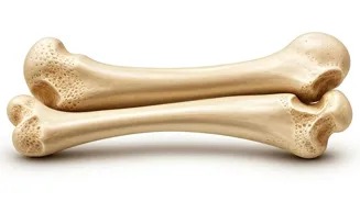 Strong Bones and Wellness: 6 Habits to Adopt