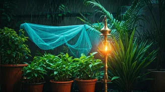 Stay Safe From Dengue This Monsoon Season