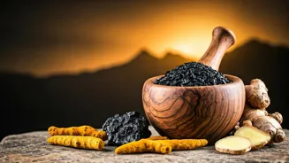 Shilajit Boosts Immunity and Strength