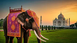Breathtaking Photos Capture India's Beauty