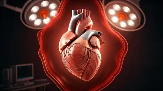 Overtraining Hurts Your Heart: Know the Risks