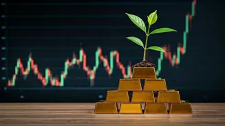 Grow Your Wealth: Smart Investment Tools Work