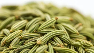 Fennel Seeds May Help Protect Indian Kidneys