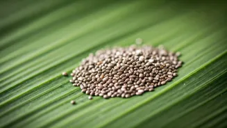 Chia Seeds: Your Secret to Radiant, Healthy Skin