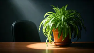 Corporate Life Causes Exhaustion and Burnout.