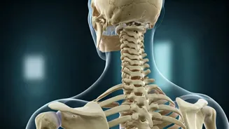 Sitting Too Much Is Risky For Your Health