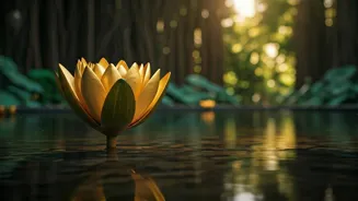 Balance Hormones and Beat Stress Naturally