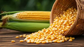 Corn: A Nutritional Powerhouse for Your Health