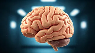 Lower Dementia Risk: Boost Your Brain Health