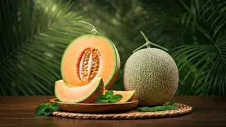 Muskmelon: Discover this Refreshing Treat