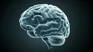 Unveiling Brain Fog: Signs & Strategies