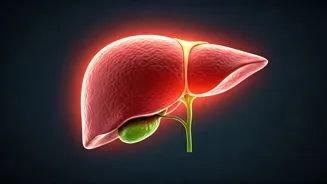 8 Habits to Heal Your Fatty Liver in 28 Days!