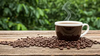 India Has Great Spots For Coffee Lovers
