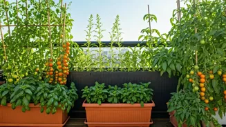 Grow Food: Delight in Your Terrace Garden