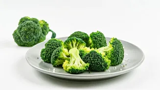 Broccoli Recipes: Flavorful and Easy to Make