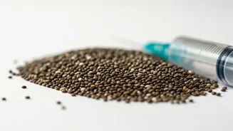 Are Chia Seeds Risky? Know the Hidden Dangers